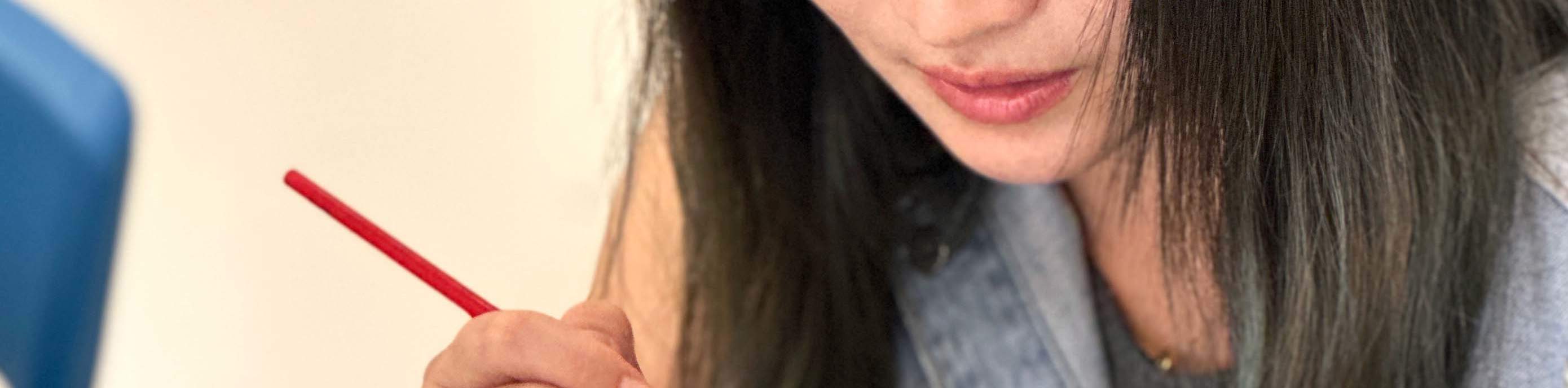 Peinture de plâtre tortue